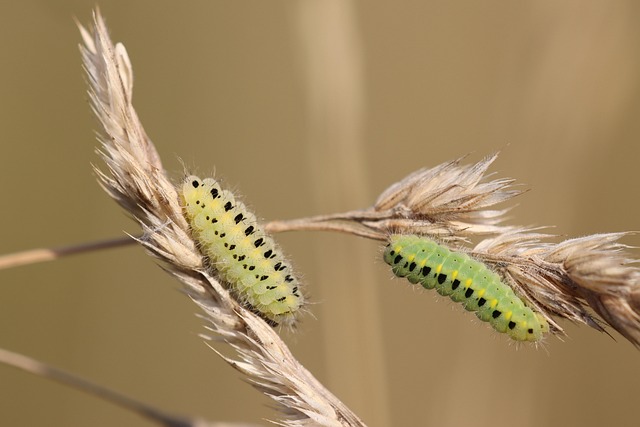 Benefits of Six Sigma in Manufacturing