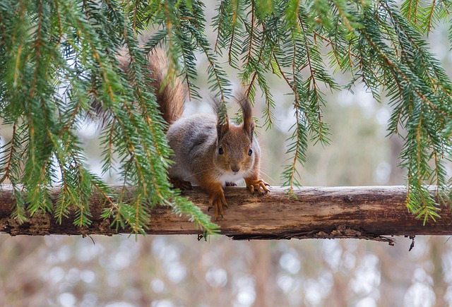 Best Price for Six Sigma Certification