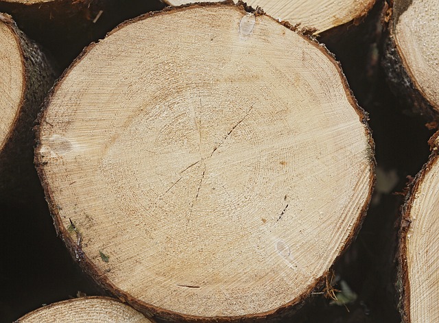 Implementing Six Sigma in Manufacturing