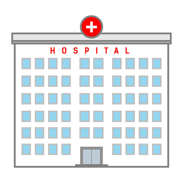 Six Sigma Black Belt Healthcare Projects
