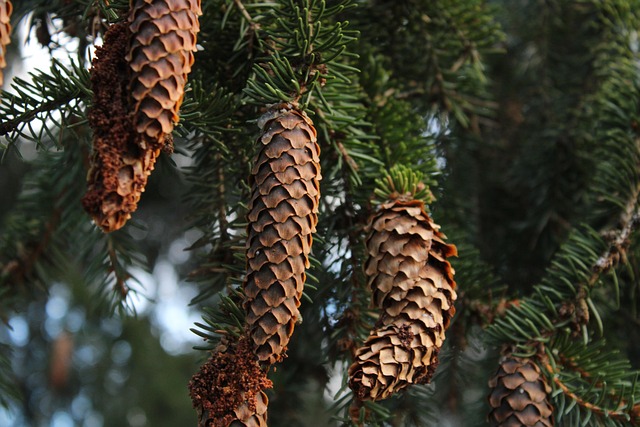 Benefits of Six Sigma in Manufacturing