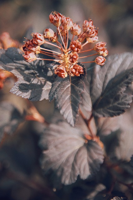 Six Sigma Green Belt Training for Manufacturing