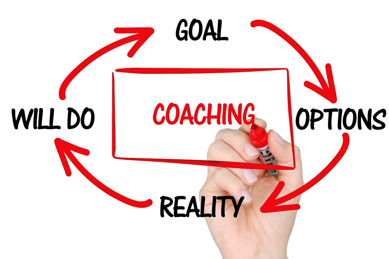Six Sigma Process Improvement Strategies