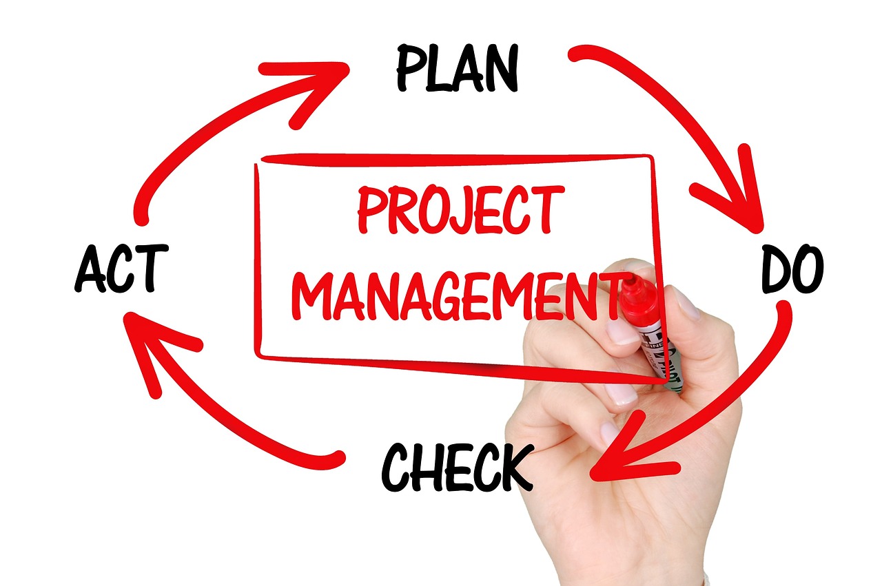 Six Sigma Process Improvement Strategies